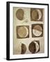 Depiction of the Different Phases of the Moon Viewed from the Earth-Galileo-Framed Art Print