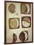 Depiction of the Different Phases of the Moon Viewed from the Earth-Galileo-Framed Art Print