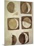 Depiction of the Different Phases of the Moon Viewed from the Earth-Galileo-Mounted Art Print