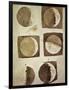 Depiction of the Different Phases of the Moon Viewed from the Earth-Galileo-Framed Art Print