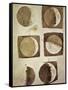 Depiction of the Different Phases of the Moon Viewed from the Earth-Galileo-Framed Stretched Canvas