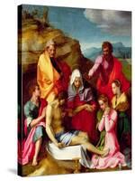 Deposition with Virgin Mary and Saints, 1523-24-Andrea del Sarto-Stretched Canvas