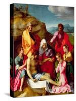 Deposition with Virgin Mary and Saints, 1523-24-Andrea del Sarto-Stretched Canvas