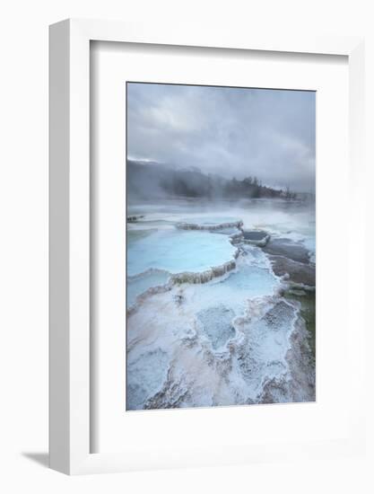 Deposits of travertine colored by thermophilic bacteria, Mammoth Hot Springs, Yellowstone NP.-Alan Majchrowicz-Framed Photographic Print