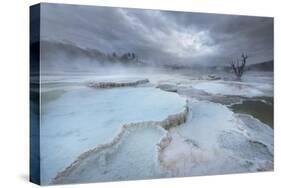 Deposits of travertine colored by thermophilic bacteria, Mammoth Hot Springs, Yellowstone NP.-Alan Majchrowicz-Stretched Canvas