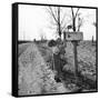 Depression Era Rural America-Science Source-Framed Stretched Canvas