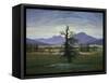 Der Einsame Baum (Dorflandschaft Bei Morgenbeleuchtung) (See also Image Number 1433, 1823-Caspar David Friedrich-Framed Stretched Canvas