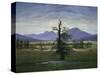 Der Einsame Baum (Dorflandschaft Bei Morgenbeleuchtung) (See also Image Number 1433, 1823-Caspar David Friedrich-Stretched Canvas