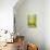 Der Gelb-Grune-Paul Klee-Giclee Print displayed on a wall