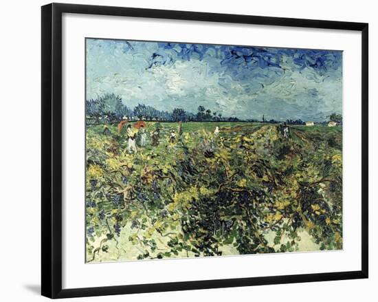 Der Gruene Weingarten, 1888-Vincent van Gogh-Framed Giclee Print