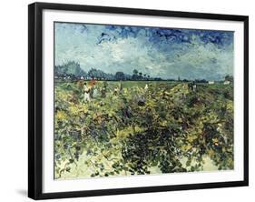 Der Gruene Weingarten, 1888-Vincent van Gogh-Framed Giclee Print