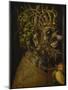 Der Winter-Giuseppe Arcimboldo-Mounted Giclee Print