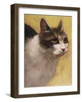 Derby Cat-Diane Hoeptner-Framed Art Print