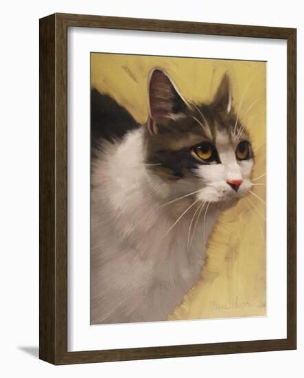 Derby Cat-Diane Hoeptner-Framed Art Print