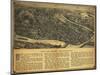 Derby, Connecticut - Panoramic Map-Lantern Press-Mounted Art Print