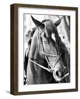 Derby I-Susan Bryant-Framed Photographic Print