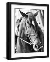 Derby I-Susan Bryant-Framed Photographic Print