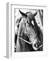 Derby I-Susan Bryant-Framed Photographic Print