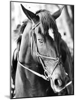 Derby I-Susan Bryant-Mounted Photographic Print