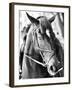 Derby I-Susan Bryant-Framed Photographic Print