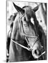 Derby I-Susan Bryant-Mounted Photographic Print