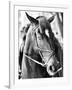 Derby I-Susan Bryant-Framed Photographic Print