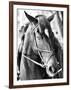 Derby I-Susan Bryant-Framed Photographic Print