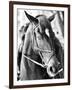 Derby I-Susan Bryant-Framed Photographic Print