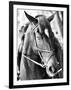 Derby I-Susan Bryant-Framed Photographic Print