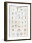 Derby Marks, 1876-null-Framed Premium Giclee Print