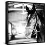 Derby Square I-Susan Bryant-Framed Stretched Canvas