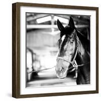 Derby Square I-Susan Bryant-Framed Photographic Print