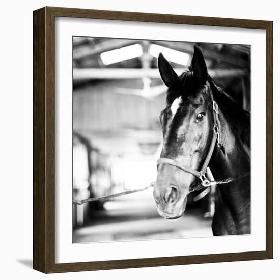 Derby Square I-Susan Bryant-Framed Photographic Print