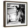 Derby Square I-Susan Bryant-Framed Photographic Print