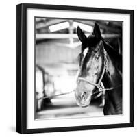 Derby Square I-Susan Bryant-Framed Photographic Print