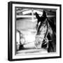 Derby Square I-Susan Bryant-Framed Photographic Print