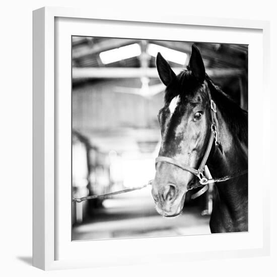 Derby Square I-Susan Bryant-Framed Photographic Print