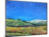 Derbyshire Landscape, 1999-Trevor Neal-Mounted Giclee Print