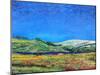 Derbyshire Landscape, 1999-Trevor Neal-Mounted Giclee Print