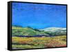 Derbyshire Landscape, 1999-Trevor Neal-Framed Stretched Canvas