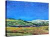 Derbyshire Landscape, 1999-Trevor Neal-Stretched Canvas