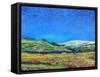 Derbyshire Landscape, 1999-Trevor Neal-Framed Stretched Canvas
