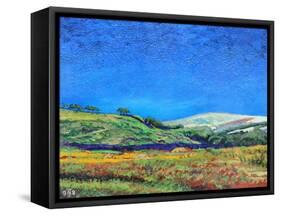 Derbyshire Landscape, 1999-Trevor Neal-Framed Stretched Canvas