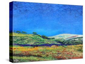 Derbyshire Landscape, 1999-Trevor Neal-Stretched Canvas