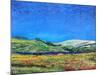 Derbyshire Landscape, 1999-Trevor Neal-Mounted Giclee Print