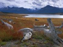 Lake Roca, Calafate Roca National Reserve, Patagonia, Argentina, South America-Derek Furlong-Photographic Print