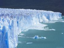 Perito Moreno Glacier, Glaciers National Park, Patagonia, Argentina-Derek Furlong-Photographic Print