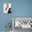 Derek Jacobi-null-Photo displayed on a wall