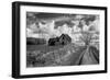 Derelict Barn in Usa-Rip Smith-Framed Photographic Print