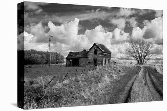 Derelict Barn in Usa-Rip Smith-Stretched Canvas